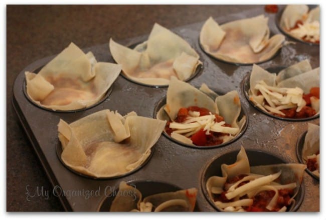 lasagna-wonton-wrappers